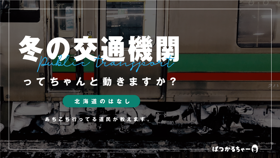 【実体験】冬の北海道旅行、公共交通機関で困らない方法を道民が解説します【移動手段】